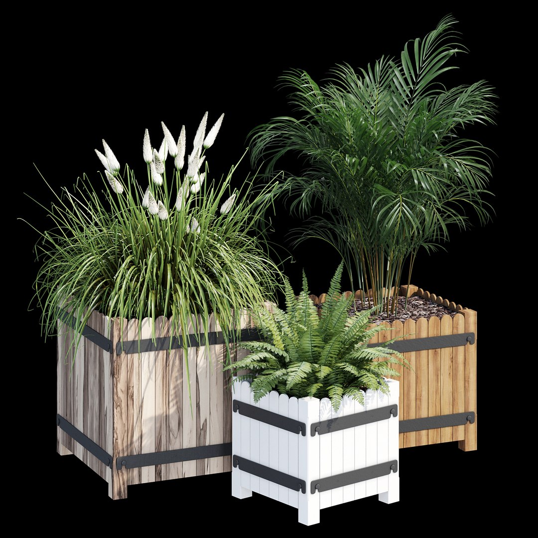 3D model Campion https://p.turbosquid.com/ts-thumb/iP/fcWmAE/ZG/dtree_3/jpg/1657915897/1920x1080/fit_q87/6036100d274b82695b0d9daa6be12cea178bf835/dtree_3.jpg