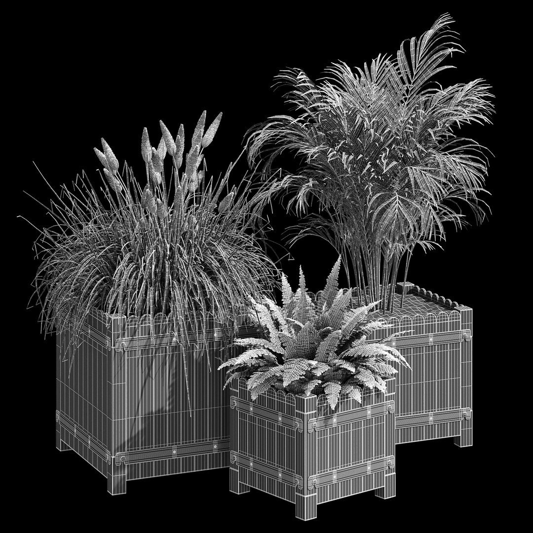 3D model Campion https://p.turbosquid.com/ts-thumb/iP/fcWmAE/f4/dtree_9/jpg/1657915900/1920x1080/fit_q87/248b5481bf682d3eb0649746dbd8c2fb6a5109bc/dtree_9.jpg