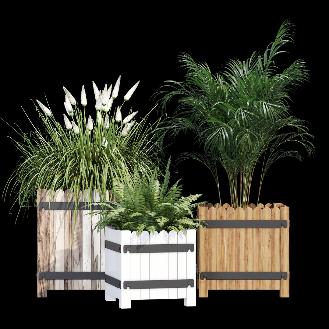 3D model Campion https://p.turbosquid.com/ts-thumb/iP/fcWmAE/lH/dtree_1/jpg/1657915897/1920x1080/fit_q87/ba3afb0dd6f22714ee28a6a565b8421241ab1e7e/dtree_1.jpg