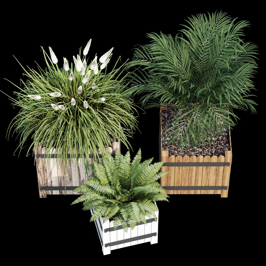 3D model Campion https://p.turbosquid.com/ts-thumb/iP/fcWmAE/m0/dtree_2/jpg/1657915897/1920x1080/fit_q87/f0f9ab2de9f63bee6bf27290e846b48f54f5ec9a/dtree_2.jpg