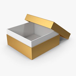 3D Gold Box Opened model