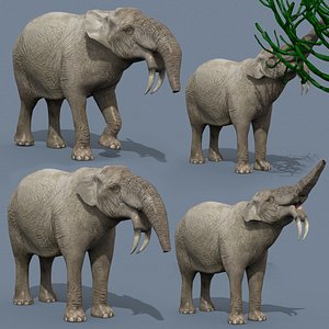 Deinotherium Thraceiensis HD - 3d animated model