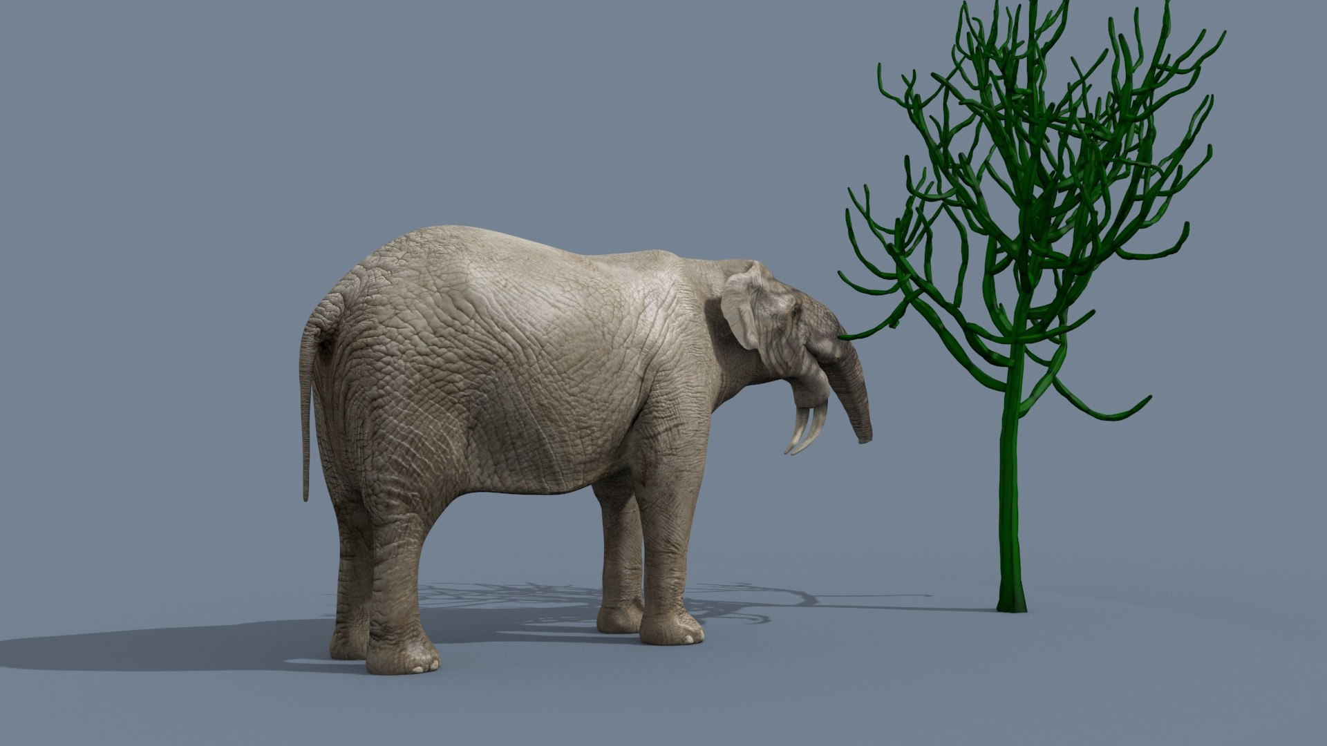 Deinotherium Thraceiensis HD - 3d animated model https://p.turbosquid.com/ts-thumb/iP/uJFgZG/Vu/6/jpg/1743719243/1920x1080/fit_q87/7c2e98403514e8a824a945c2f93ab690c2ad6e8d/6.jpg