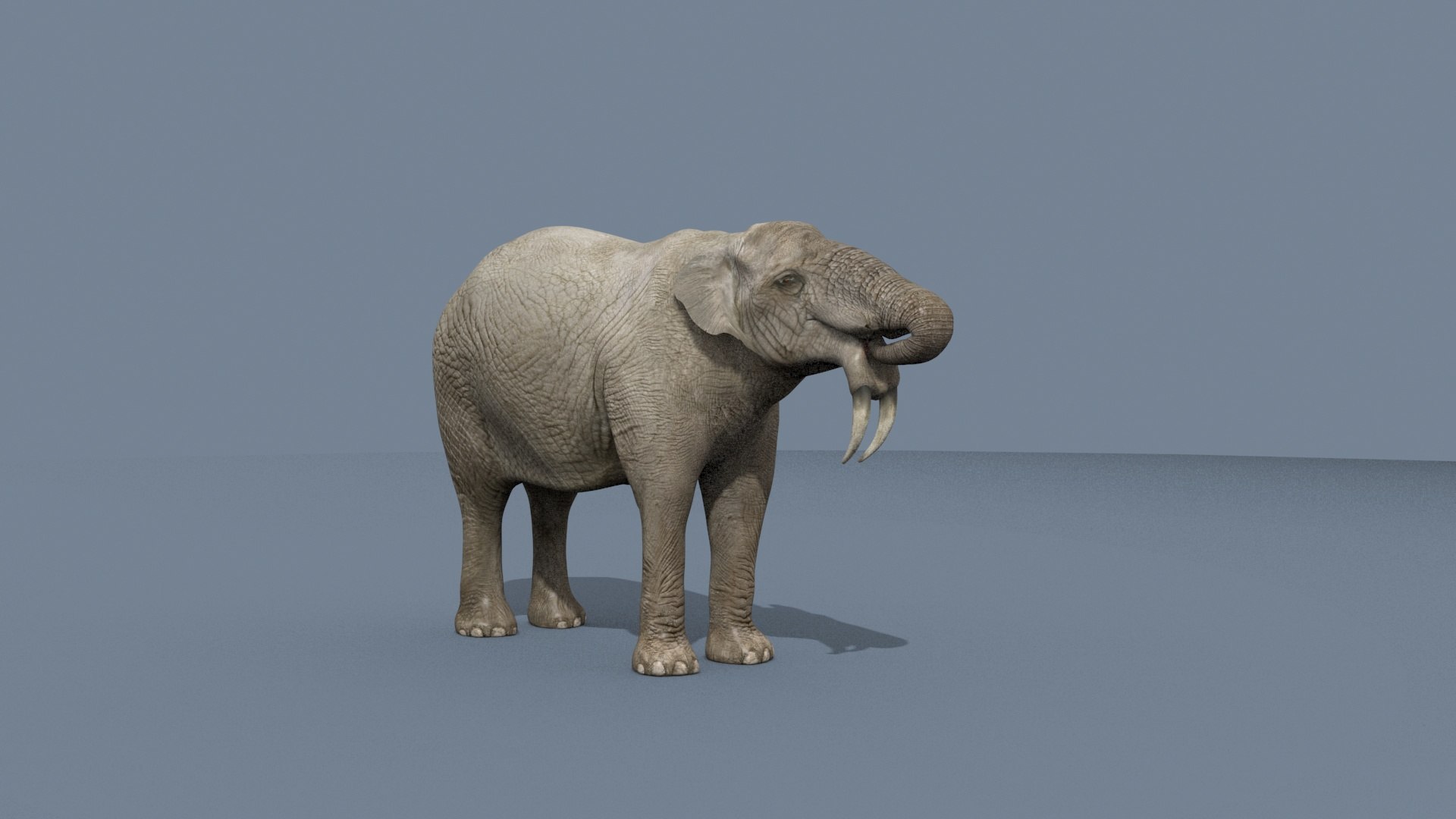 Deinotherium Thraceiensis HD - 3d animated model https://p.turbosquid.com/ts-thumb/iP/uJFgZG/Y4/2/jpg/1743719239/1920x1080/fit_q87/bf4267ef3b399ac179d033cb123958775d48cda9/2.jpg