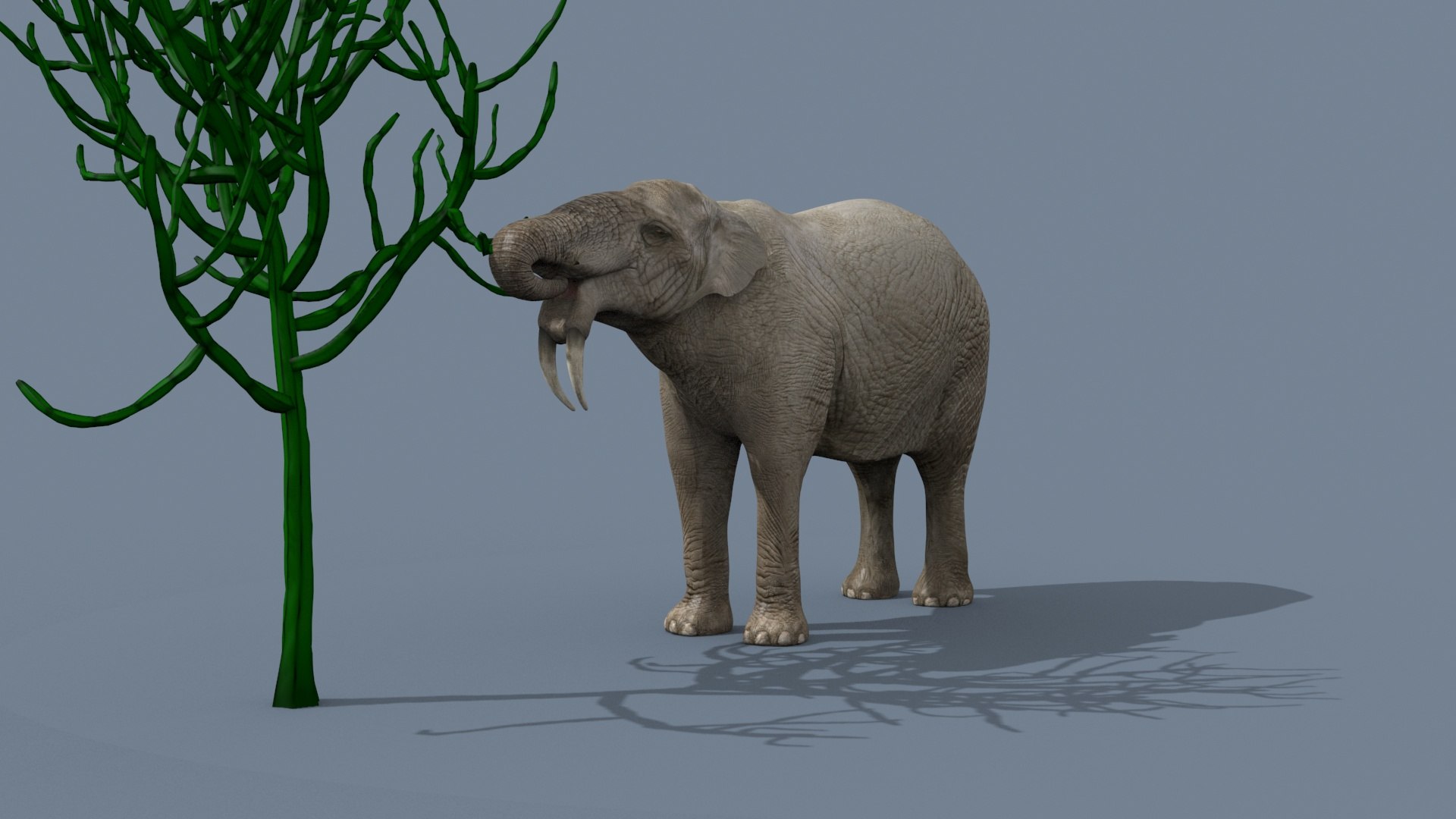 Deinotherium Thraceiensis HD - 3d animated model https://p.turbosquid.com/ts-thumb/iP/uJFgZG/eF/8/jpg/1743719247/1920x1080/fit_q87/899c21a056d710ddbfff074d6a4827389f31d450/8.jpg