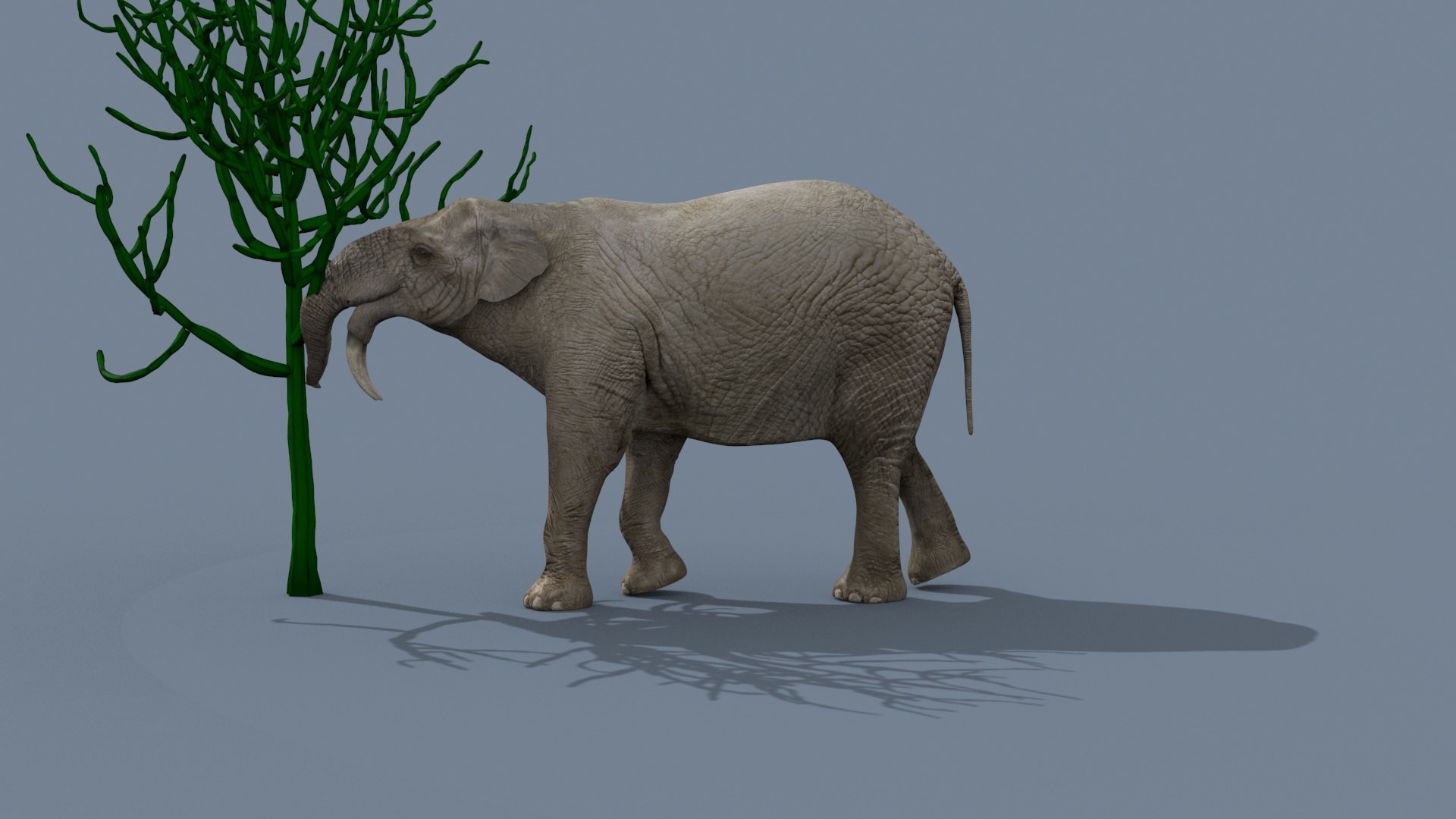 Deinotherium Thraceiensis HD - 3d animated model https://p.turbosquid.com/ts-thumb/iP/uJFgZG/lO/9/jpg/1743719249/1920x1080/fit_q87/7cd9f7e9ca371833d282c6178efe21d9bf769e28/9.jpg