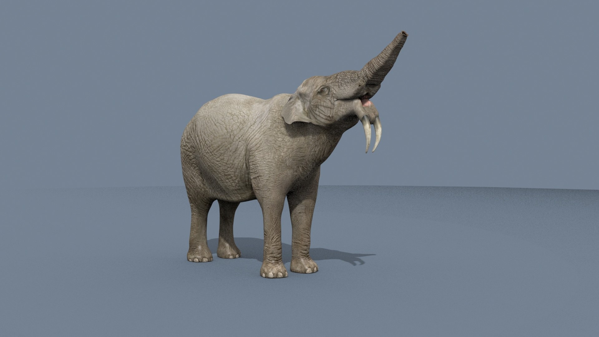 Deinotherium Thraceiensis HD - 3d animated model https://p.turbosquid.com/ts-thumb/iP/uJFgZG/pQ/12/jpg/1743719249/1920x1080/fit_q87/5297f640cc11ac0b3184f26d1aec69d294d60dde/12.jpg