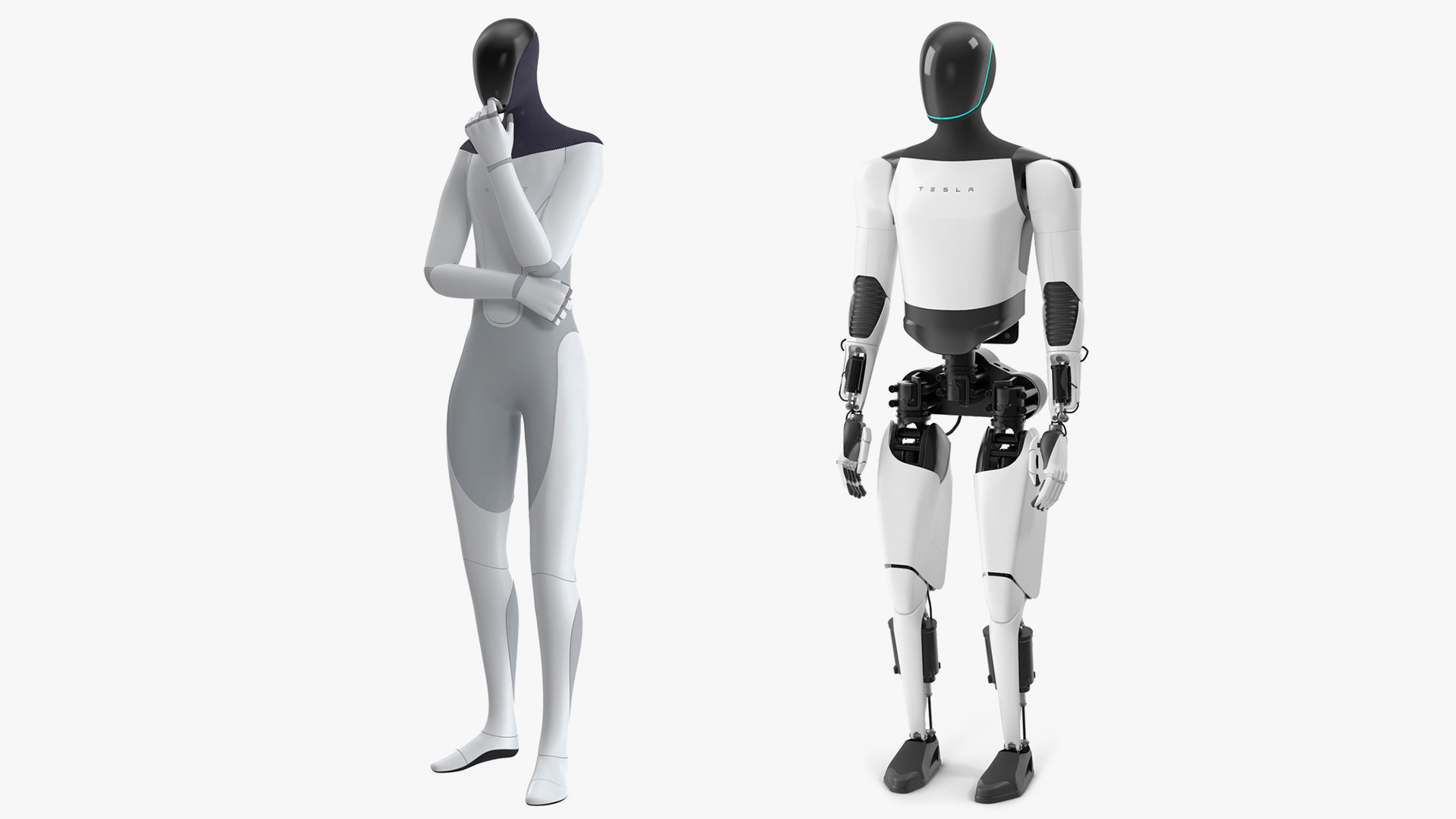 3D model Tesla Robots Collection https://p.turbosquid.com/ts-thumb/iP/yQFsqt/Hw/tesla_robots_collection_001/jpg/1764442119/1920x1080/fit_q87/15b8f78a519d3d3559be7fd7096ec88182e4e783/tesla_robots_collection_001.jpg