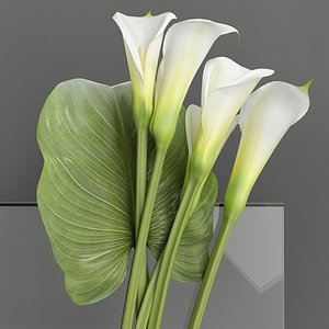 3D calla lilies bouquet model