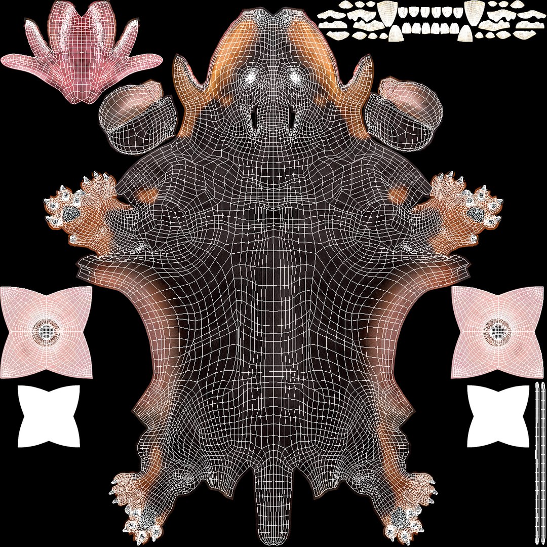 3D Standard Dachshund Breed Dog Alert Black Fur for Maya Rigged https://p.turbosquid.com/ts-thumb/iQ/2nCtLM/3T/standard_dachshund_breed_dog_alert_black_fur_rigged_013/jpg/1759318095/1920x1080/fit_q87/cfeda8acc0c6c0907375fabd83c0c2afcdae9549/standard_dachshund_breed_dog_alert_black_fur_rigged_013.jpg