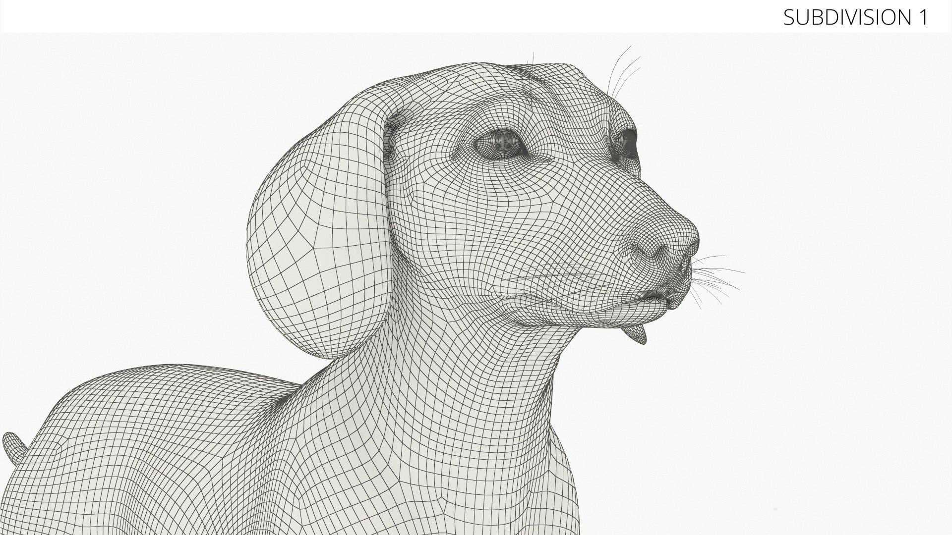 3D Standard Dachshund Breed Dog Alert Black Fur for Maya Rigged https://p.turbosquid.com/ts-thumb/iQ/2nCtLM/JL/standard_dachshund_breed_dog_alert_black_fur_rigged_011/jpg/1759318088/1920x1080/fit_q87/ea5195adae69c61b4b2bba86f8580e35db01bcdf/standard_dachshund_breed_dog_alert_black_fur_rigged_011.jpg