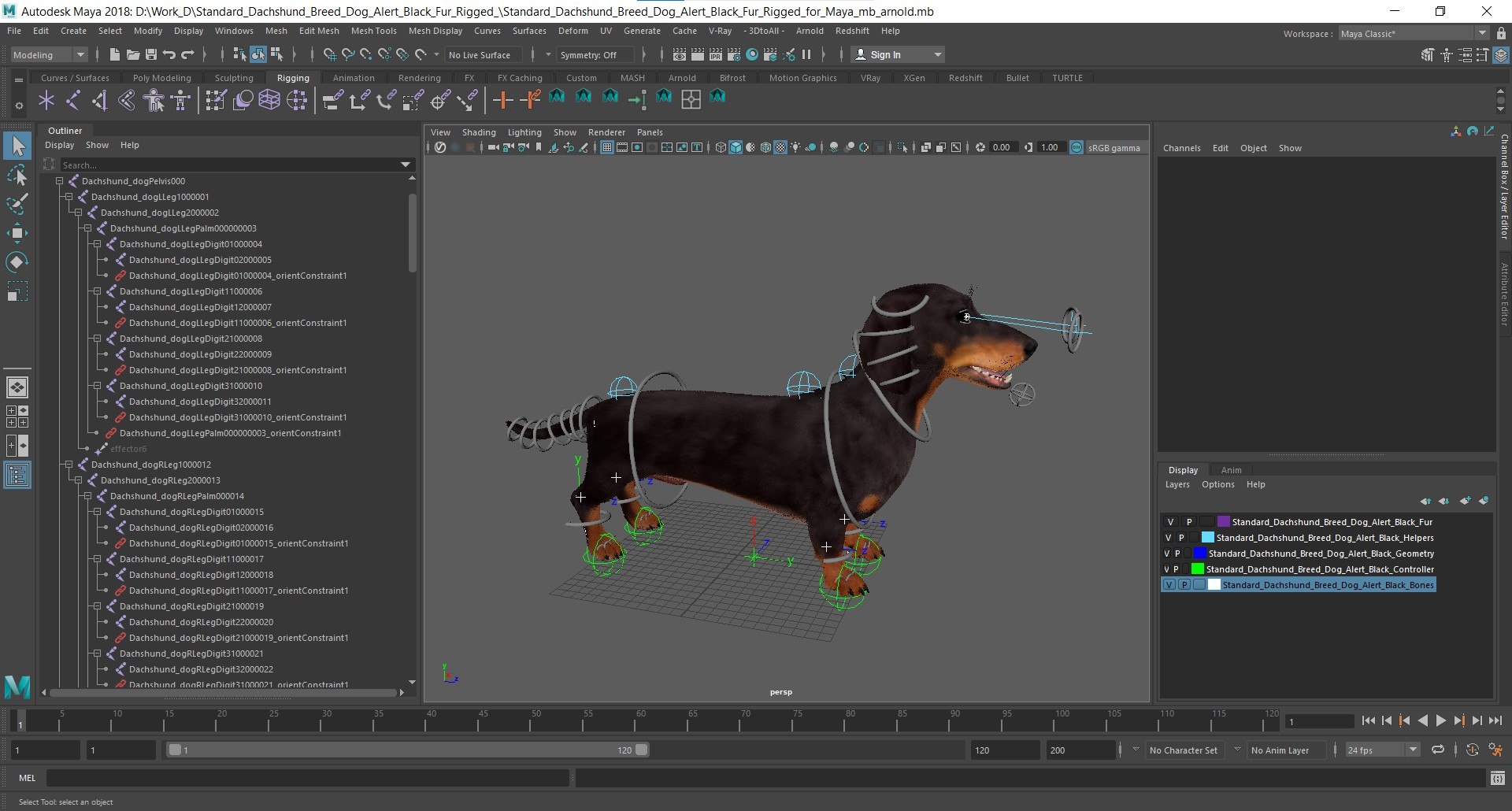 3D Standard Dachshund Breed Dog Alert Black Fur for Maya Rigged https://p.turbosquid.com/ts-thumb/iQ/2nCtLM/nT/standard_dachshund_breed_dog_alert_black_fur_for_maya_rigged_1002/jpg/1759312248/1920x1080/fit_q87/fa1adbe0c2f2a7ce47fd145d854896eed855a18b/standard_dachshund_breed_dog_alert_black_fur_for_maya_rigged_1002.jpg