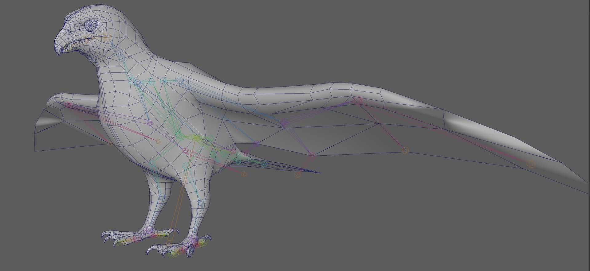 3D Falcon Bird https://p.turbosquid.com/ts-thumb/iQ/7LMchx/BC/16/png/1730534810/1920x1080/fit_q87/9453352ea00ac86f6420879e38fe75c80c49cb95/16.jpg