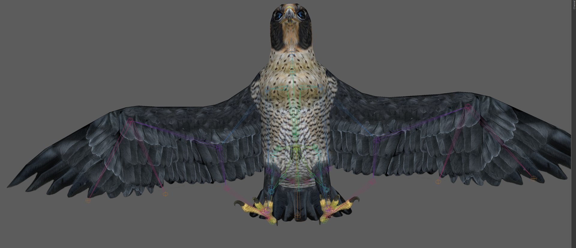 3D Falcon Bird https://p.turbosquid.com/ts-thumb/iQ/7LMchx/X4/12/png/1730534810/1920x1080/fit_q87/0a4389445b336931d0e70861e3df782f4d386d53/12.jpg