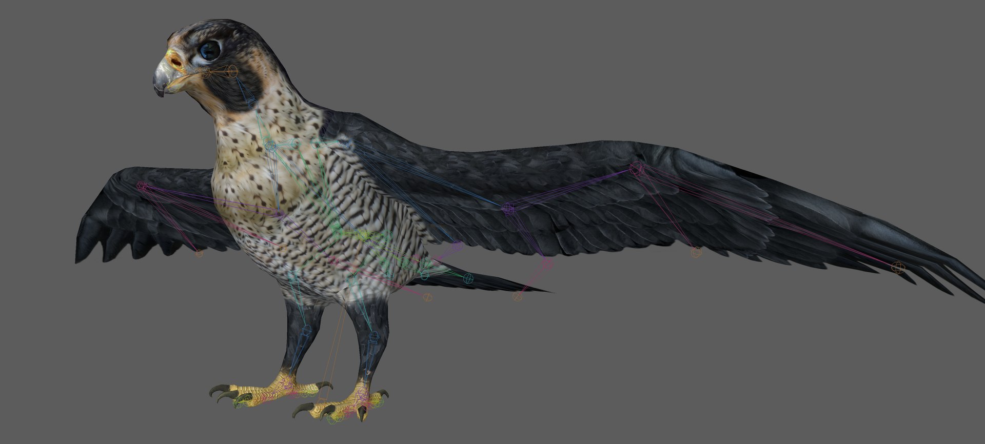 3D Falcon Bird https://p.turbosquid.com/ts-thumb/iQ/7LMchx/e5/1/png/1730534799/1920x1080/fit_q87/31b0ab8df6b13e16643c6c45491108bb66dff3c6/1.jpg