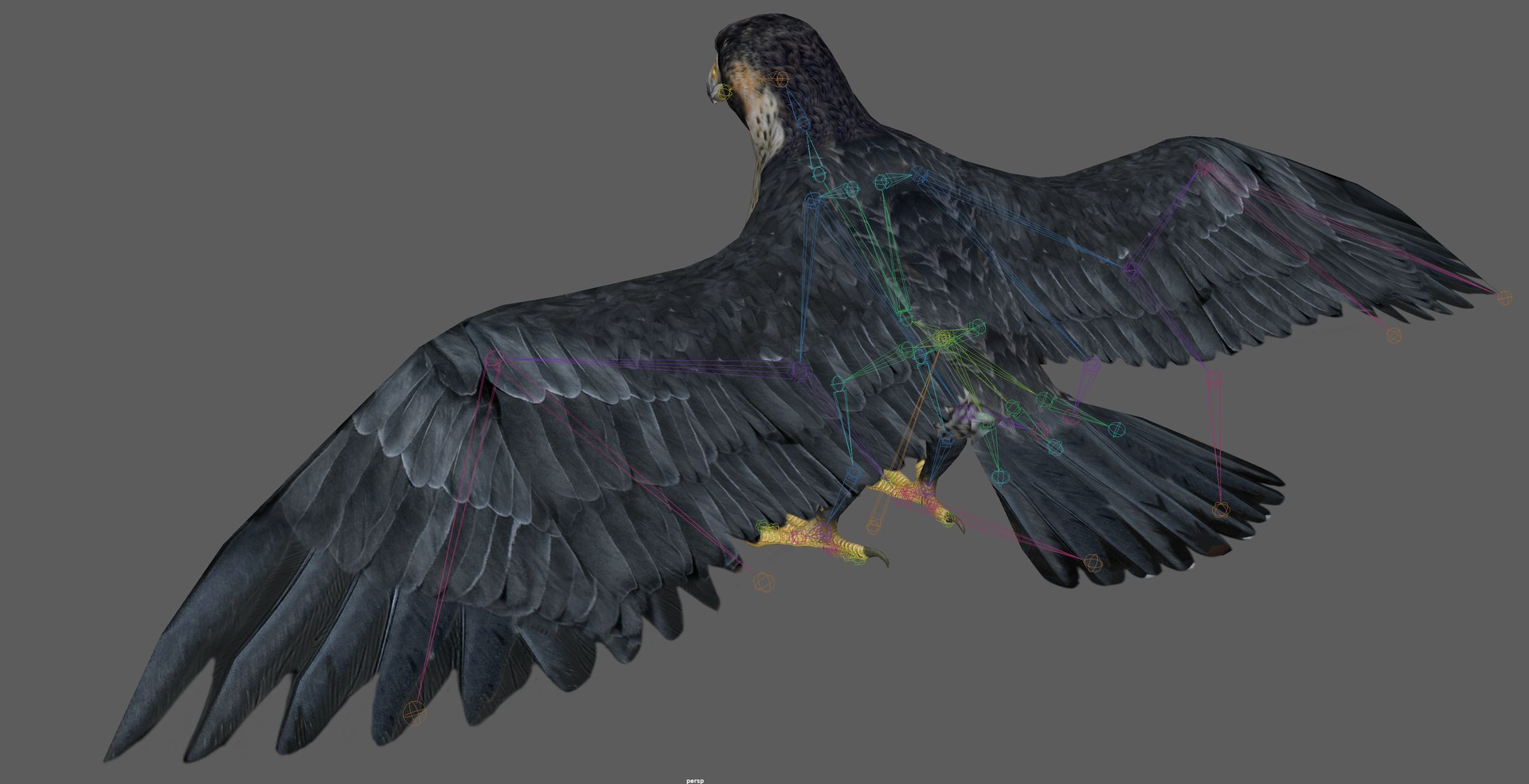 3D Falcon Bird https://p.turbosquid.com/ts-thumb/iQ/7LMchx/hz/6/png/1730534807/1920x1080/fit_q87/df412811e29efdab6504e59966f973d0585aaa3e/6.jpg