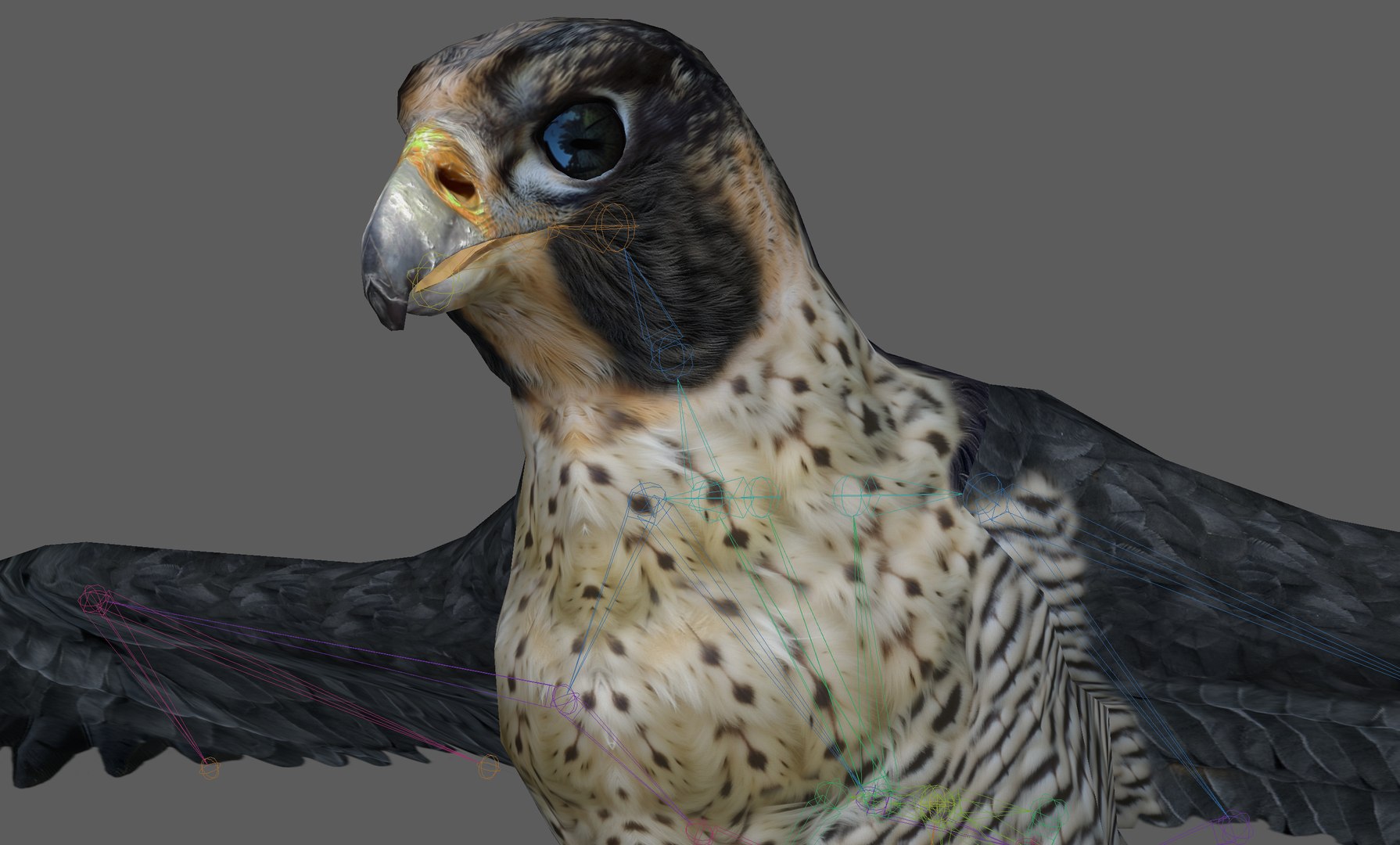 3D Falcon Bird https://p.turbosquid.com/ts-thumb/iQ/7LMchx/mX/15/png/1730534811/1920x1080/fit_q87/adb261eaeaf693d54da40fbd00940a89af5df649/15.jpg