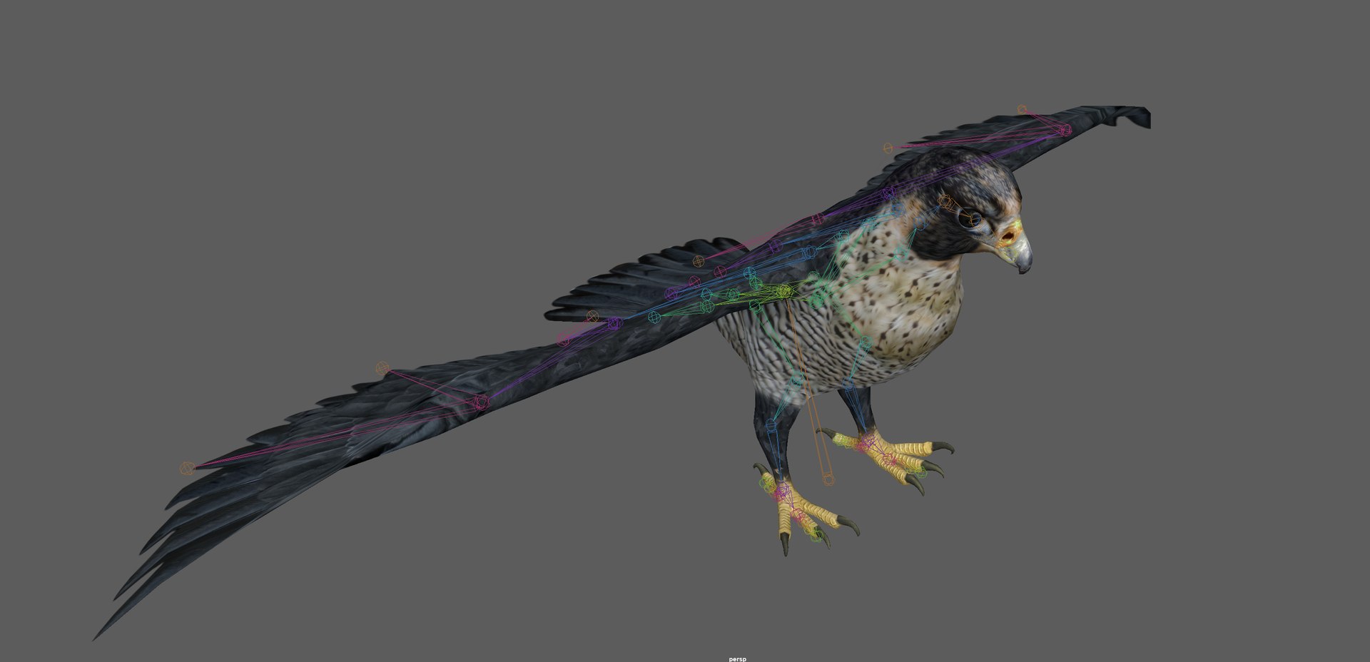 3D Falcon Bird https://p.turbosquid.com/ts-thumb/iQ/7LMchx/vO/11/png/1730534808/1920x1080/fit_q87/c807d78f61c92f066255de43159e94fda1699205/11.jpg