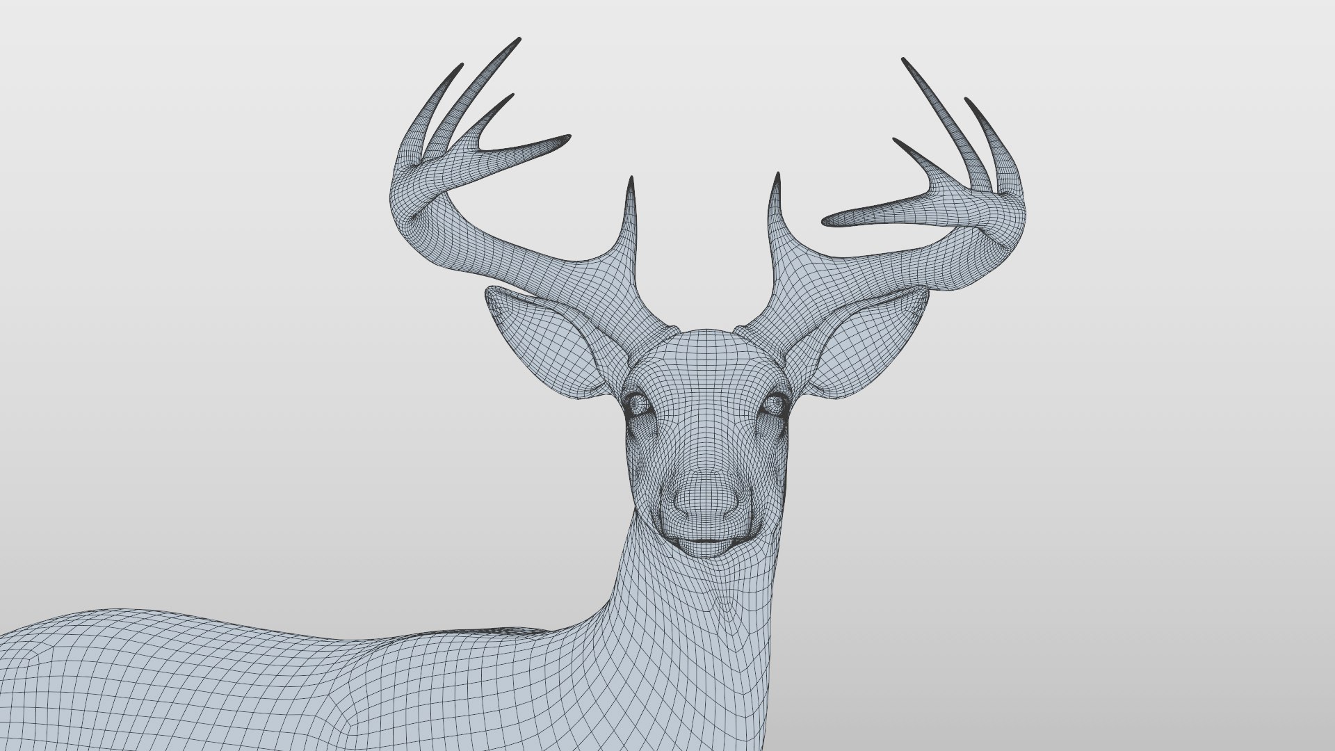 odocoileus virginianus rig model https://p.turbosquid.com/ts-thumb/iQ/8gpM8Q/6pBUCDV6/r5wire/png/1521704252/1920x1080/fit_q87/d0c0a65b926e4dd8a843a7e74b71b20f681fb560/r5wire.jpg