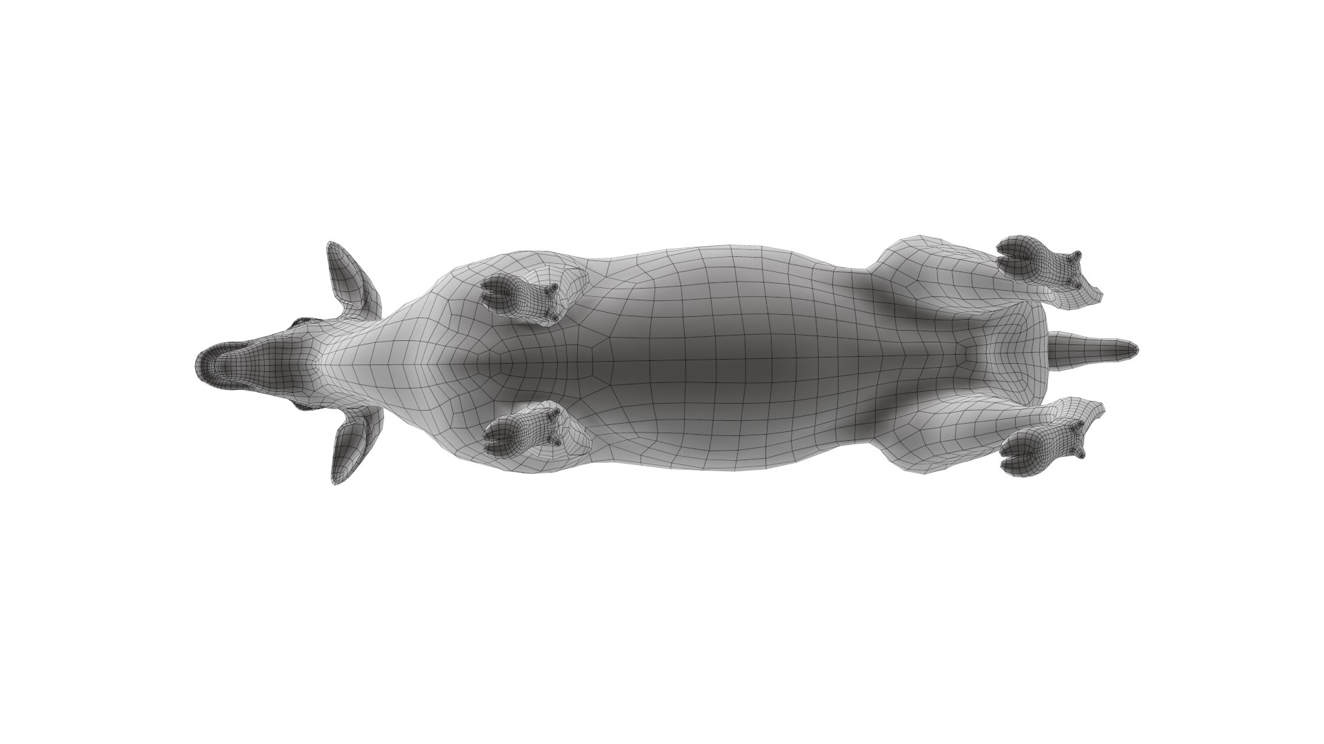 odocoileus virginianus rig model https://p.turbosquid.com/ts-thumb/iQ/8gpM8Q/W0iq9zuo/screenshot004/png/1519119885/1920x1080/fit_q87/b8eb526a767af8551e7969079418c34a2e5dca05/screenshot004.jpg