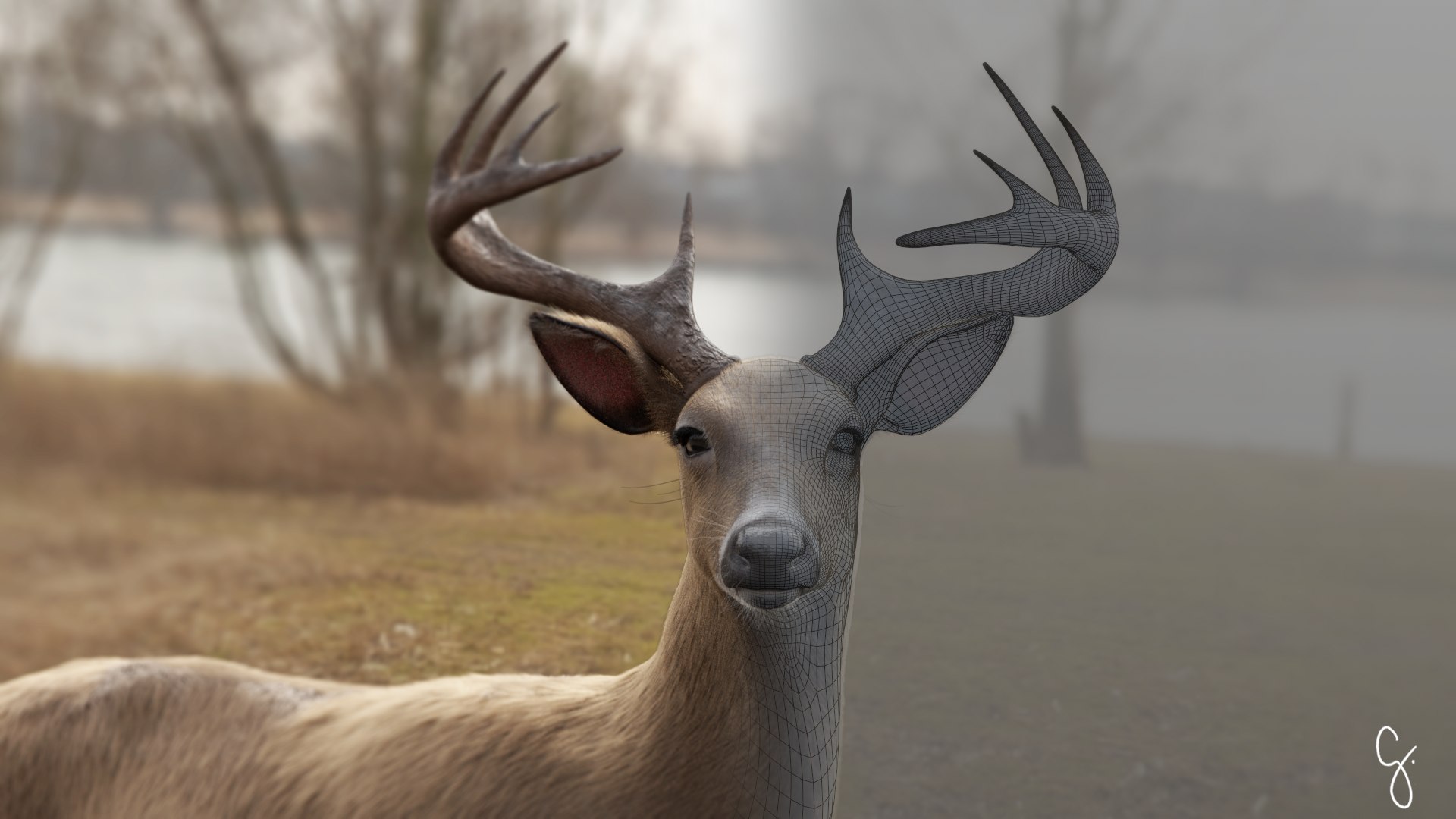 odocoileus virginianus rig model https://p.turbosquid.com/ts-thumb/iQ/8gpM8Q/Wx3xtJeO/comphybrid/png/1521704252/1920x1080/fit_q87/425783bb3716acf32114510b92327ffd73c01996/comphybrid.jpg