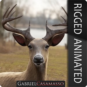Odocoileus Virginianus Rigged