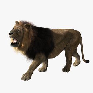 Lion 1 ANIMATED FUR