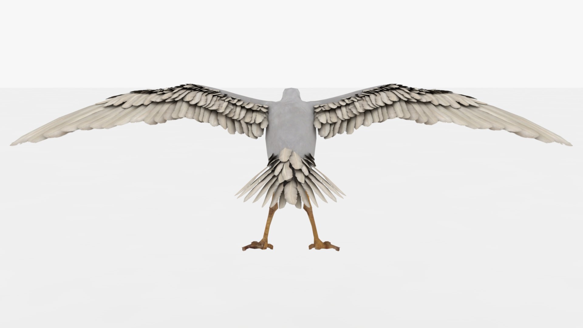 3D Seagull Rigged And Animated - TurboSquid 2348762
