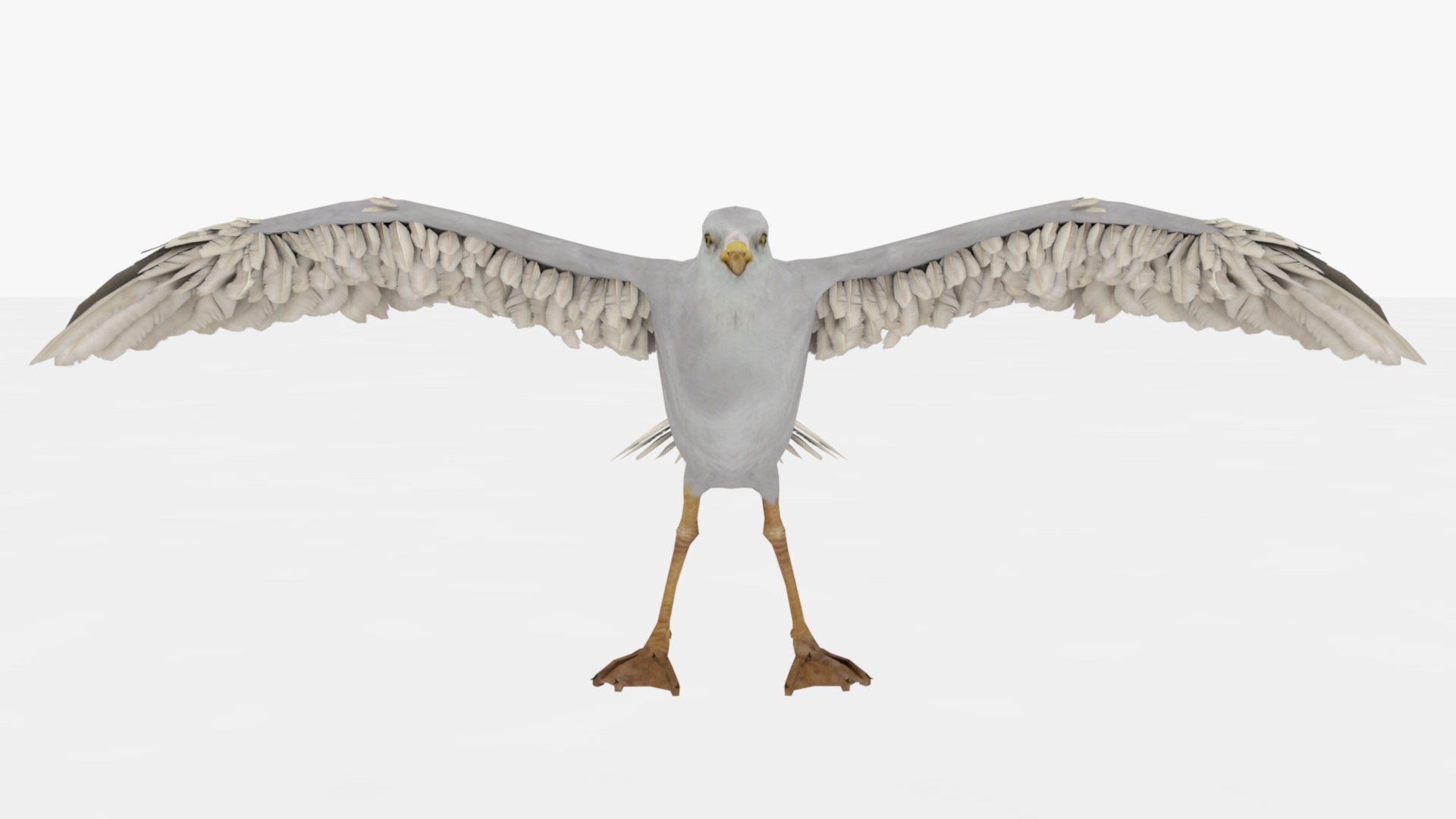3D Seagull Rigged And Animated - TurboSquid 2348762