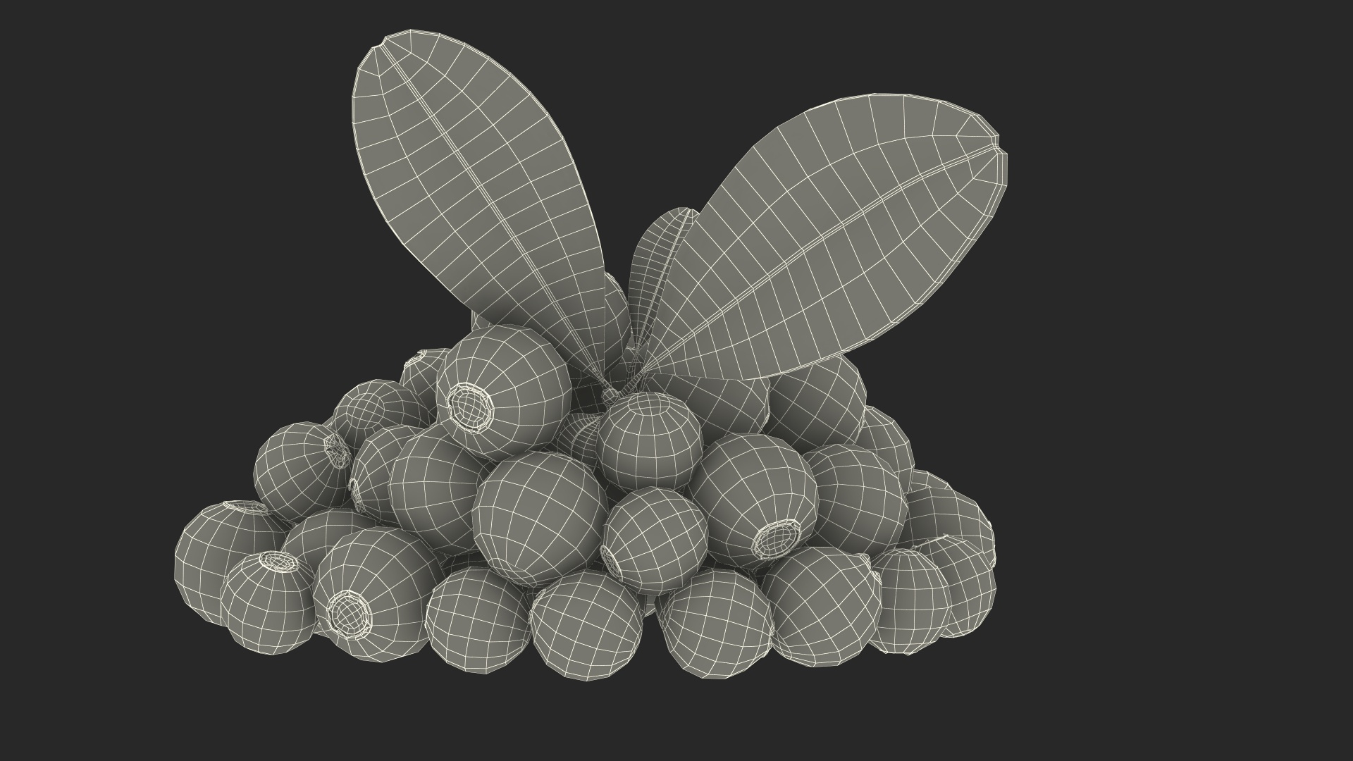 3D Basket with Berries Collection https://p.turbosquid.com/ts-thumb/iQ/WcH2SF/I0/bunch_of_cranberries_with_leaves_361/jpg/1709132653/1920x1080/turn_fit_q99/a8d1932e22f7bfc63024cf9b838ad45f92d59523/bunch_of_cranberries_with_leaves_361-1.jpg