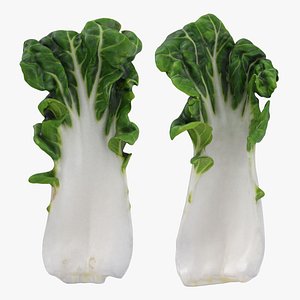 White Bok Choy Leaf Collection 3D model
