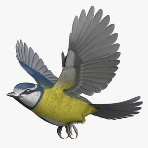 Eurasian Blue Tit RIgged