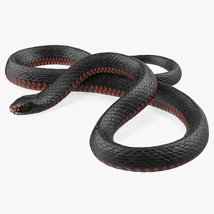3D coiled black snake