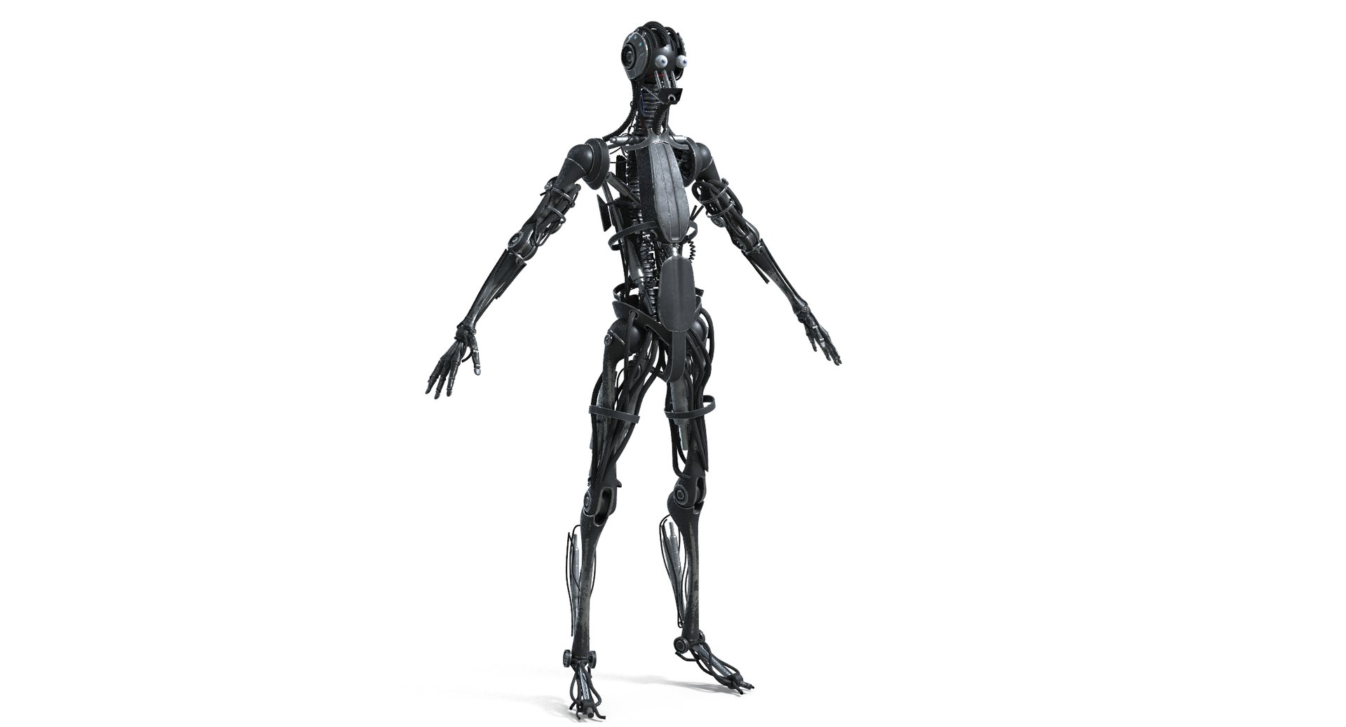 Cyborgs Family Collection model https://p.turbosquid.com/ts-thumb/iQ/mjebXK/en/interior/jpg/1717054812/1920x1080/fit_q87/68a6c058daf6e912d80256bbe3a918bc1f02d9bf/interior.jpg