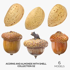 Acorns and Almonds With Shell Collection 02 - 6 models 3D