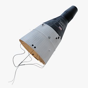 Gemini Capsule