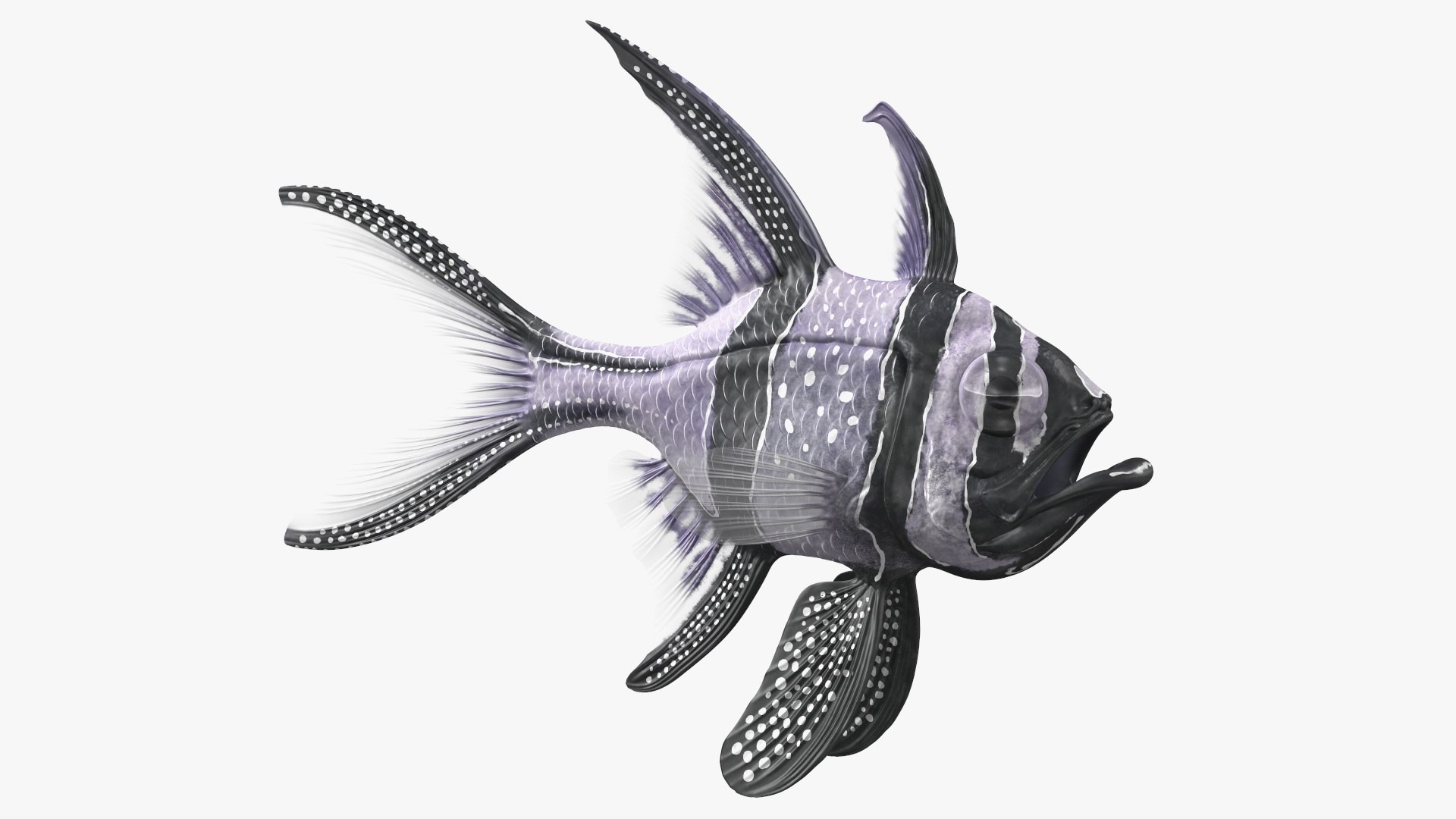 Longfin Cardinalfish Rigged for Maya 3D model preview