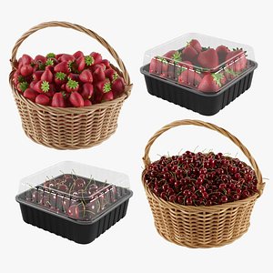 3D Baskets And Containers With Berries model
