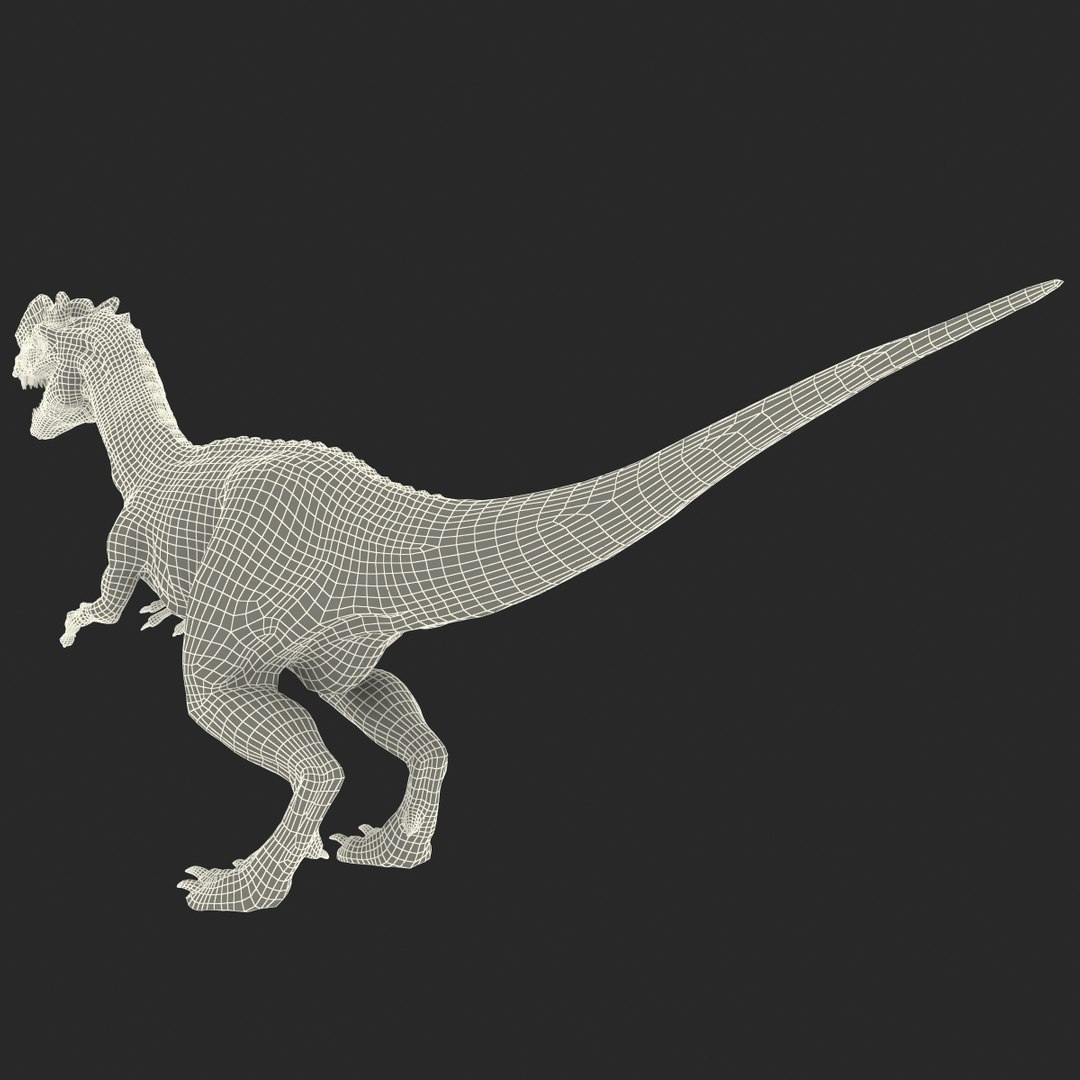 3d Dilophosaurus 3 Model