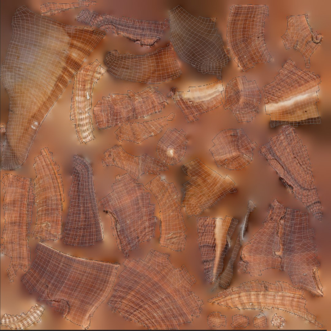 3D model Brunneifusus carinifer Sea Shell https://p.turbosquid.com/ts-thumb/iR/1FO0Ih/eU/s6uv/jpg/1685818811/1920x1080/fit_q87/0a18d5b0dfd189fba86a8b2d6156f54712e248b0/s6uv.jpg
