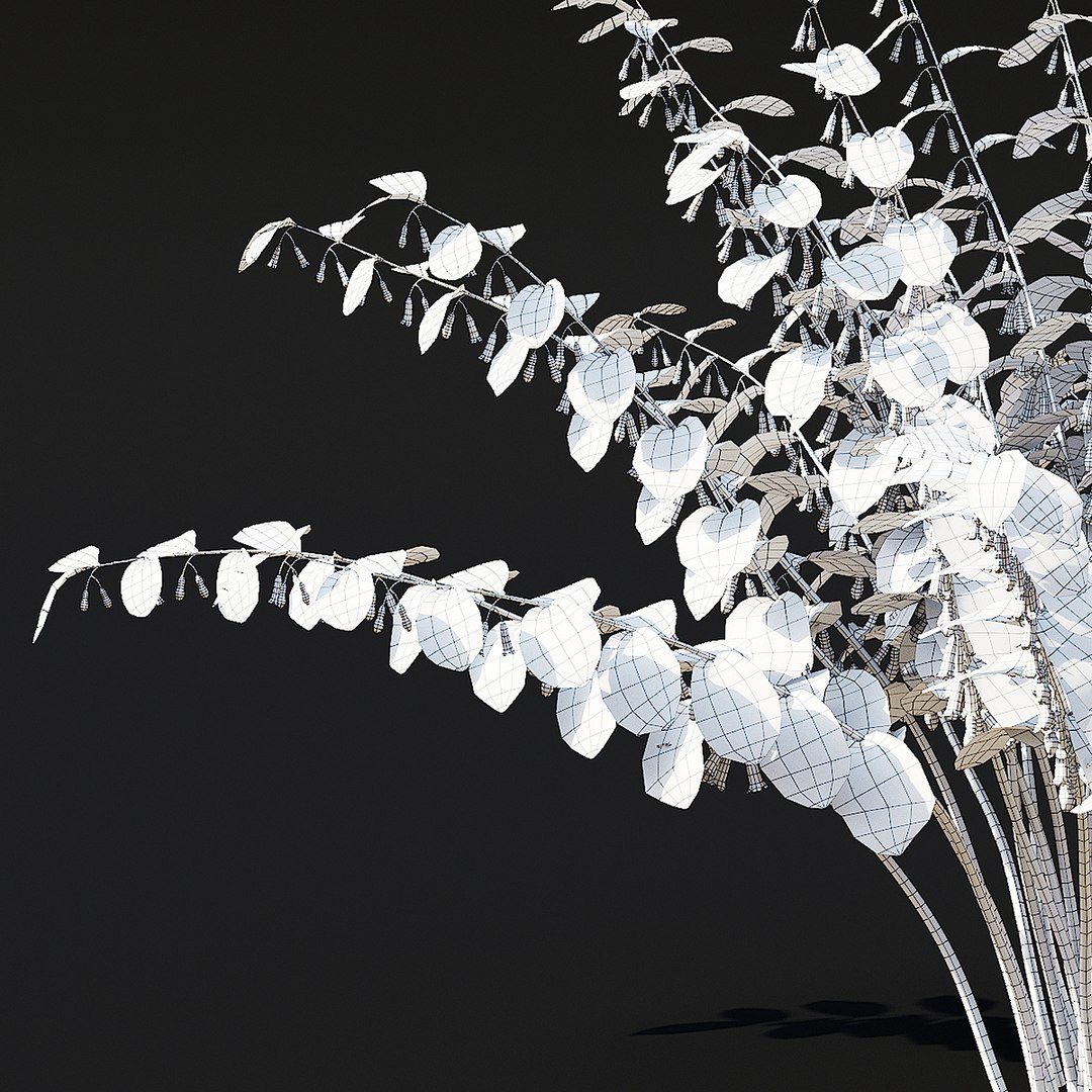 Polygonatum Flower 3D - TurboSquid 2115281