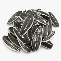 Sunflower Seeds