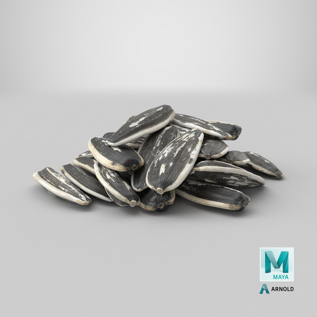 3D Sunflower Seeds model https://p.turbosquid.com/ts-thumb/iR/5NO1g4/rR/stemcell_maya_arnold_render/png/1764654627/1920x1080/fit_q87/007910c715e8570d62caca45b8dcb7861497d77c/stemcell_maya_arnold_render.jpg