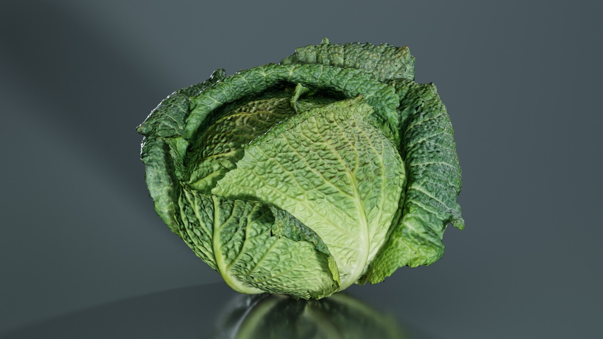 Savoye Cabbage Remastered model https://p.turbosquid.com/ts-thumb/iR/5uj9Zt/1F/savoye_cabbage_03/jpg/1740366944/1920x1080/fit_q87/48b27b84468a08367041c6dbd383725718246599/savoye_cabbage_03.jpg