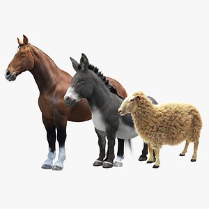 3d model animals horse donkey sheep