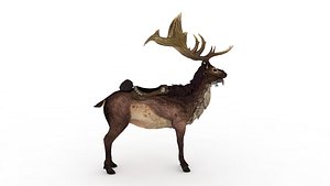 Deer 3D