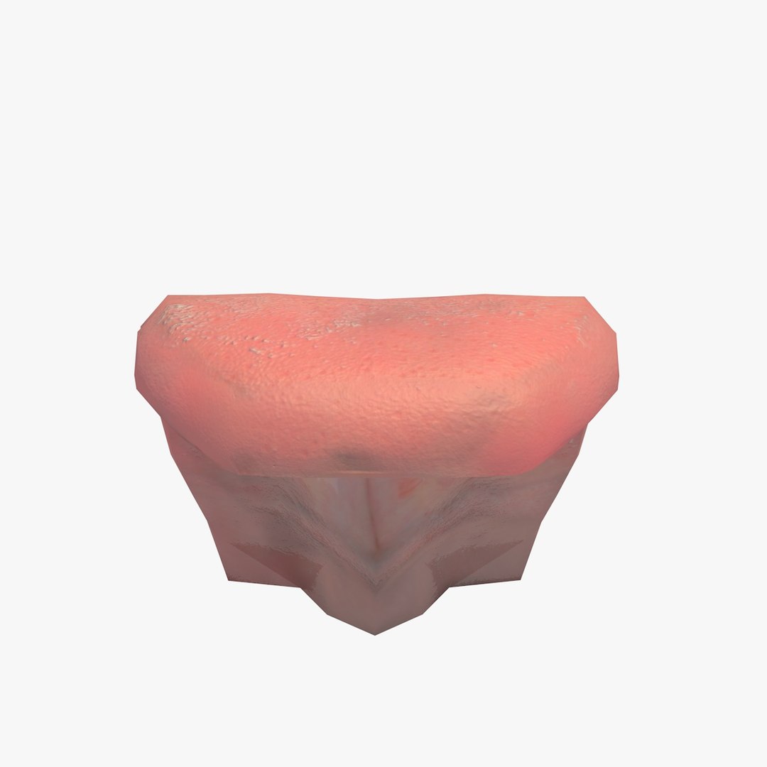 3d fat old man head https://p.turbosquid.com/ts-thumb/iR/G9xqk4/srgq4MrE/2ndblackmanhead9abcde/jpg/1444292975/1920x1080/fit_q87/b9106af6fcb8a99a272f7a89e20c9cd03ad18d9e/2ndblackmanhead9abcde.jpg
