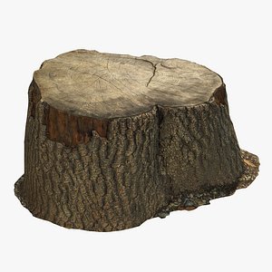 3D Sawed stump 01 model