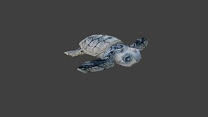animal 3D model