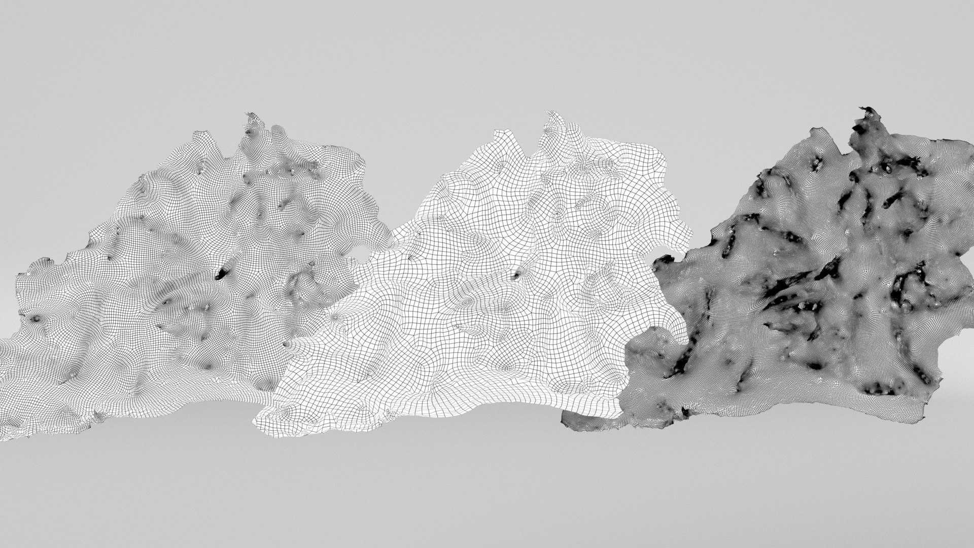 8K Root Wall model https://p.turbosquid.com/ts-thumb/iR/kgqcE4/As/wireframe/jpg/1772748742/1920x1080/fit_q87/c9a0b033a59b5fbde0becb6cdb16898ed5cf5682/wireframe.jpg